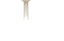 CIPF Member